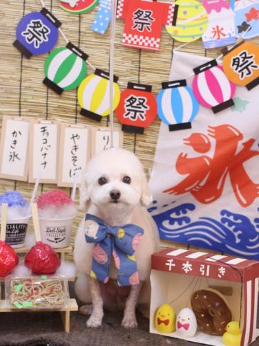 20240714ふぁるくん